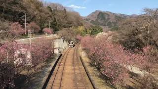 【わたらせ渓谷鉄道】神戸駅 2019.3.21