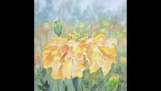 Orange flower in watercolor