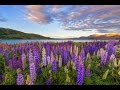 Peaceful Music, Relaxing Music, Instrumental Music, 