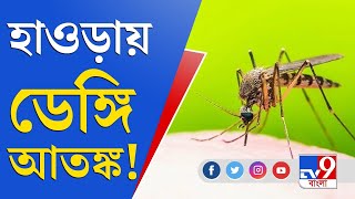 হাওড়ায় ব্যাপকভাবে বাড়ছে ডেঙ্গি! প্রাণ হারাল ৮ বছরের শিশু | Dengue in Howrah