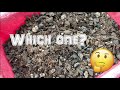 a closer look at succulent soil which cactus and succulent soil is better