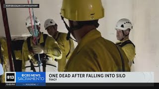 Man falls to his death after falling into Tracy sugar silo