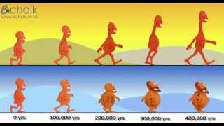 Speciation