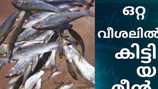 🙆‍♀️ഒറ്റ വീശലിൽ കിട്ടിയ മീൻ🥰 #fishing #thrissur #fishcatch #meenpidutham #puzha