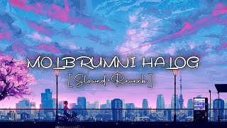 MOLBRUMNI HALOG | SLOWED REVERB | LOFI SONG | @LOFIMUSIC-jb6dv