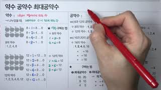 약수와 배수 : 약수 공약수 최대공약수 (초등수학)