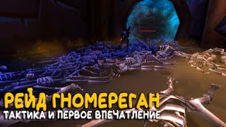 Гномереган. Тактика и подробности открытия нового рейда Season of Discovery WoW Classic