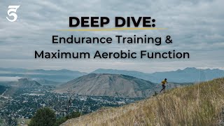 Deep Dive: Endurance Training and Maximum Aerobic Function