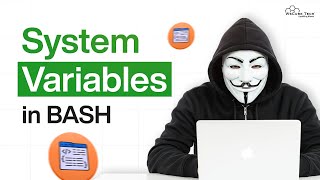 Practice Shell Scripting | System Defined Variables Made Easy
