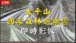 Ⓑ06🟢Live 太平山國家森林遊樂區 台7甲 即時影像》20250129~30 車流人流狀況  BGM Piano Romantic 鋼琴 浪漫 🅐ⓅⓅ257