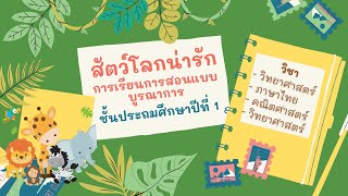 การสอนแบบบูรณาการ เรื่อง สัตว์โลกน่ารัก ป.1 วิชาวิทยาศาสตร์ ภาษาไทย คณิตศาสตร์ และภาษาอังกฤษ