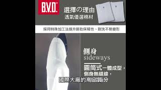 BD250 BVD 純棉圓領長袖內衣