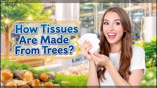 From Wood to Tissue | How Tissues Are Really Made |IndustrialHands