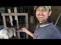 milking goats by hand for the first time what did we get ourselves into