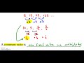 8.2.1.5 geometric sequences video 1 mueller