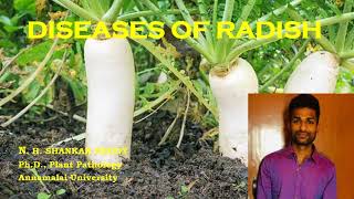 Diseases of Radish | Tuber Crops | Plant Pathology