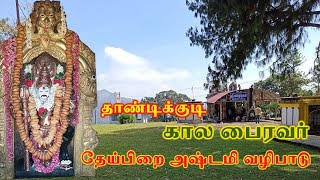 தாண்டிக்குடி காலபைரவர் - தேய்பிறை அஷ்டமி பூஜை || THANDIKUDI KAALABAIRAVAR - THEIPIRAI ASHTAMI POOJA