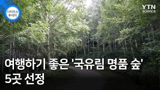 여행하기 좋은 '국유림 명품 숲' 5곳 선정 / YTN 사이언스