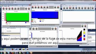 Parasoft Insure++ Inuse Dynamic Memory Visualization