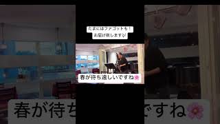 【MU's音楽教室】ウィーン国立音大ファゴット演奏科出身まりあ先生本業ファゴット編🌸#相模原ピアノ教室 #相模原音楽教室 #ファゴット #まりあ先生 #春よ来い #松任谷由実 #ミューズ音楽教室