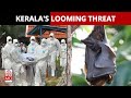 How A Bat Virus From India's Kerala Found New Ways To Infect People