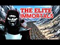 Persian Immortals | Animated History