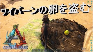 ARK クリスタルアイルズ#3 ワイバーンの卵を盗む！プロコプトドン(カンガルー)は最強のハンターかもしれない！！