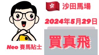 [買真飛] 【賽馬貼士】 2024年5月29日 香港賽事 心水推介  沙田馬場 Shatin Racecourse Hong Kong Horse Racing