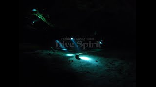 フロリダ　ジニースプリングス　Florida Ginnie Springs cavediving（水中洞窟）