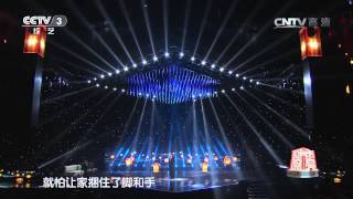 20141207 回声嘹亮 []歌曲《想家的时候》 演唱：蔡国庆