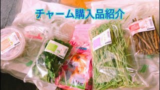 【小動物】チャームで飼育用品買いました♪