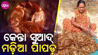 Papadam making: ଚର୍ଚ୍ଚାନେ ବଲାଙ୍ଗିରର୍ ଗିତାଞ୍ଜଳୀ ମେଡମଙ୍କର୍ ମଡ଼ିଆ ପାପଡ଼... ଥରେ ଖାଏଲେ କେଭେ ନାଇଁ ଭୁଲନ୍...