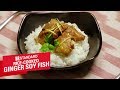 Standard Appliances Recipes - Ginger Soy Fish