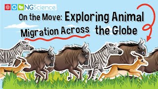 On the Move: Exploring Animal Migration Across the Globe