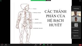 Tổng quan về hệ tuần hoàn.  3 tiếng.  Môn Giải phẫu - sinh lý. Trần Khánh Phú