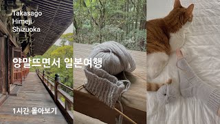 Japan Vlog | Hyogo & Shizuoka Trip While knitting socks | A Korean worker living in Japan