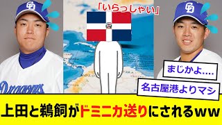 【中日】鵜飼と上田がドミニカに送られる.....