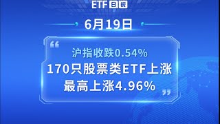 ETF日报 | 6月19日沪指收跌0.54%，170只股票类ETF上涨、最高上涨4.96%