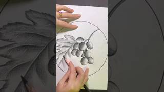 grapes drawinghow to draw grapes#shorts #youtubeshorts #easydrawing #drawing