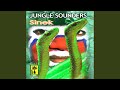 Jungle Sounders