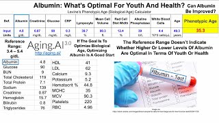 Albumin: What's Optimal For Youth And Health? (2022 Update)