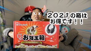 ２０２１ヨドバシカメラ夢のお年玉箱Bluetoothヘッドホンの夢は意外とお得だった！