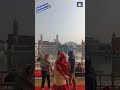 darbar sahib amritsar golden temple sgpclivekirtan sgpc shortsfeed shorts