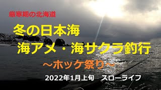 2022 1月上旬　冬の日本海海アメ・海サクラ釣行　～ホッケ祭り～