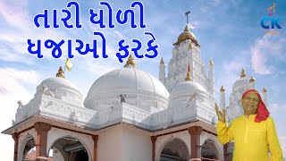 તારી ધોળી ધજાઓ ફરકે || CK Sonara New Song 2024 || Tari Dhodi Dhajao Farke || Gujarati Bhakti Song