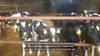 Dairylink: Driving milk from forage in Down