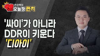 [한상혁의 수익펀치] '싸이'가 아니라 DDR이 키운다 '디아이' / 머니투데이방송 (증시, 증권)