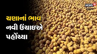 Amreli | ચણાનાં ભાવ નવી ઉંચાઇએ પહોંચ્યા |  મણનાં 1200 રૂપિયા મળતા ખેડૂતો ખુશ