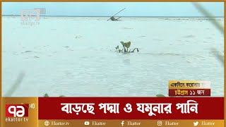 বাড়ছে পদ্মা ও যমুনার পানি, শুরু হয়েছে ভাঙন | River Erosion | News | Ekattor TV