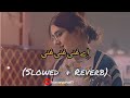 a ghani ghani pashto new song slowed reverb a ghani ghani tiktok viral pashto song